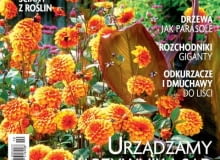 Ogrody, numer 10 Ogrody, numer 10