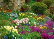 Wiosenna odsłona Wiosenna odsłona