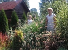 Ogród traw Ogród traw