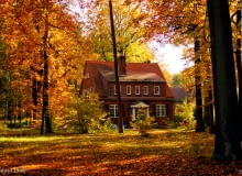 Kolonia amerykańska w Katowicach Kolonia amerykańska w Katowicach