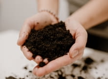 Jak przygotować ziemię na nowy sezon? Jak przygotować ziemię na nowy sezon?