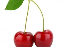 Wiśnia. Aby drzewo owocowało, musi być dobrze odżywione Wiśnia. Aby drzewo owocowało, musi być dobrze odżywione