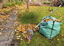 Razem z liśćmi niechcący wygrabiamy żwir.