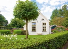 DHouse with a front garden and ball tree, Tilia cordata Green Globe