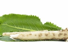 Chrzan - przybysz ze wschodu Chrzan - przybysz ze wschodu