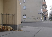 "Zoo" Wiedeń, Austria 2014 "Zoo" Wiedeń, Austria 2014