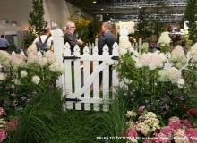 Zieleń to życie Zieleń to życie