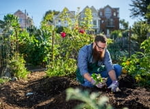 Kalendarz biodynamiczny Kalendarz biodynamiczny