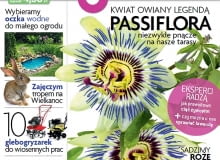 Okładka miesięcznika Magnolia 04/2013