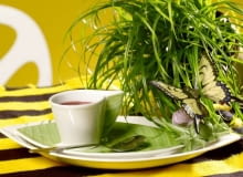 25.04.2008 WARSZAWA SESJA TRAWA NZ WNETRZA JADALNIA I POKOJ DZIENNY , FILIZANKA STYLIZACJA AGATA DAWIDCZYK DLA CZASOPISMA CZTERY KATY FOT. ARKADIUSZ SCICHOCKI / AGENCJA GAZETA PUBLIKACJA CZTERY KATY NR 8 (202) - 8 2008