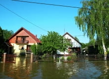 Długotrwała powódź szkodzi roślinom, niszczy strukturę gleby i zatruwa ją na kilka lat. Nebojsa Markovic shutterstock