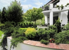 Przy tarasie i na balkonie wymurowano szerokie pojemniki, w których umieszczono kompozycje z karłowych jałowców, tui, choiny, cisów, tawuł oraz irg. TARAS NAWIERZCHNIA KAMIENNA KAMIEN SCIEZKA BALKON BALUSTRADA KOMPOZYCJA DRZEW I KRZEWOW IGLAKI PINUS MUGO VARIETAS MUGHUS SOSNA GORSKA KRZEW IGLASTY FOT. WIESLAW LIPIEC PUBLIKACJA OGRODY NUMER SPECJALNY - KATALOG PROJEKTOW - 4.2004 SLOWA KLUCZOWE: OGRODY ARCHITEKTURA ROSLINY