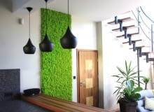 Obrazy z mchu i kwiatów Obrazy z mchu i kwiatów