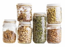 Kiełki, pszenica, ciecierzyca, zielona soczewica, czerwona soczewica, żółta soczewica, rzodkiewka