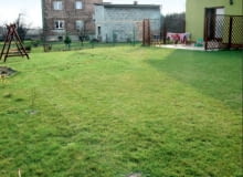 Widok ogrodu pod rajską jabłonią przed zmianami Widok ogrodu pod rajską jabłonią przed zmianami