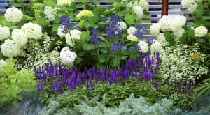 10.07.2008 LONDYN HAMPTON COURD PALACE WYSTAWA KWIATOW I OGRODOW FLOWER SHOW 2008 FOT. ARKADIUSZ SCICHOCKI / AGENCJA GAZETA
