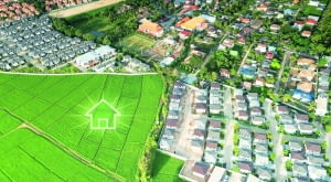 Dom na wąskiej działce. Jak z ograniczeń uczynić atut?