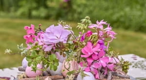 Projekt DIY: wazoniki ze skorupek jajek wypełnione pelargoniami