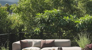 Nowa kolekcja ogrodowa JYSK inspiruje do życia bliżej natury