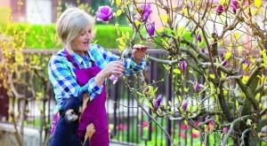 Przycinanie krzewów wiosoną