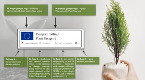 Paszport roślin