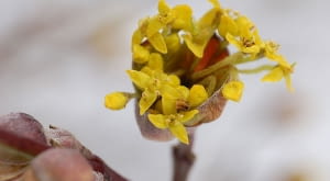 WikimediaCommons/Derek Ramsey