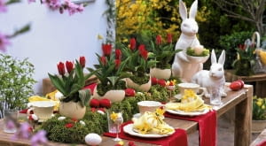 Oster - Tischdeko mit Tulpen : Tulipa ( Tulpen ) in Straußeneiern auf Moosbett, Keramik - Osterhasen, Ostereier in rot und weiß Möbel : Holzwerk - A, info@holzwerk-a.de 0551 - 3883148 61020757 Ausschnitt SLOWA KLUCZOWE: 000 Eier Hasen Ostern Terrasse Tisch Tischdekoration Topf ZZZ draussen gelb quer rot