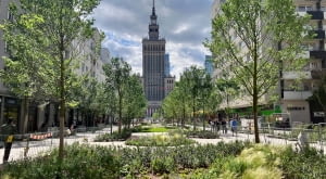 Zielone centrum Warszawy