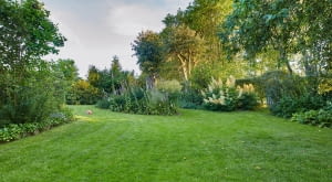 Jak urządzić ogród, aby służył przez cały rok?