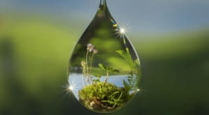 „Zieleń, natura, architektura”