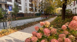 Nowy woonerf na ul. Brandysa
