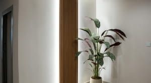 Lamele ścienne – przewodnik: od A do Z