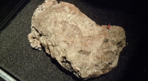 Wyschnięta część fatbergu Whitechapel na wystawie w Muzeum Londyńskim