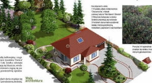 Projekt ogrodu w zaciszu jodeł