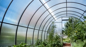 Na co zwrócić uwagę, kupując szklarnię ogrodową?