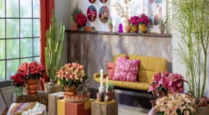 Mocne kolory, naturalne materiały i wyraziste wzory tworzą klimat inspirowany meksykańską codziennością – pełen energii, radości i zaskakującej różnorodności.