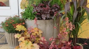 Jesień przed wejściem do domu