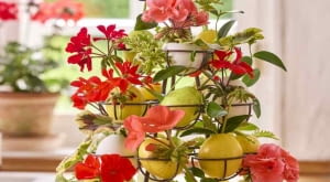 Kolorowa, pełna życia i w oczekiwaniu na lato – taka jest Wielkanoc z pelargoniami!