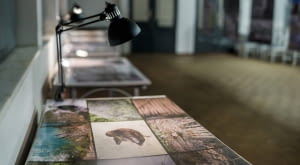 Wystawa „Zdjęcia Architektów" w Przystanku Architektura