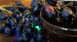 Nalewka z winogron