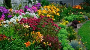 Oryginale kwiaty na bukiety