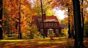 Kolonia amerykańska w Katowicach