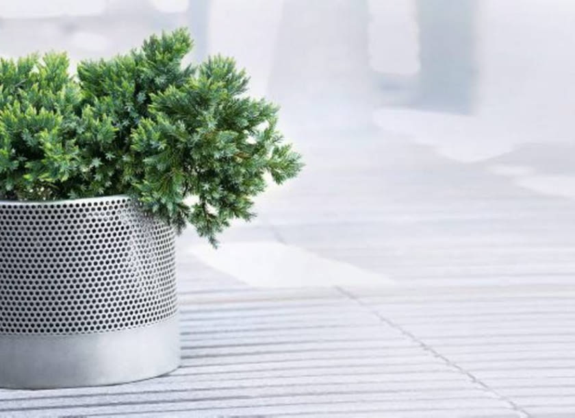 23.05.2006 WARSZAWA DLA CZTERY KATY IGLAK IGLAKI IGLASTE JALOWIEC SQUAMATA BLUE STAR STYLIZACJA ANETA KOSIBA FOT. LUKASZ ZANDECKI / AGENCJA GAZETA SLOWA KLUCZOWE: