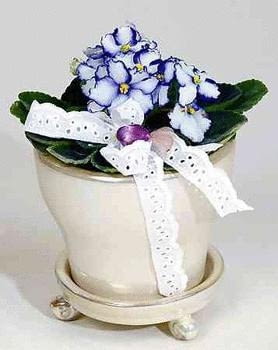 Skromny fiołek afrykański (<i>Saintpaulia</i>) nabierze odświętnego wyrazu, jeśli wstawimy go do eleganckiej doniczki. Dodatkowo możemy ozdobić go dekoracyjną, haftowaną wstążką. Skromny fiołek afrykański (<i>Saintpaulia</i>) nabierze odświętnego wyrazu, jeśli wstawimy go do eleganckiej doniczki. Dodatkowo możemy ozdobić go dekoracyjną, haftowaną wstążką.