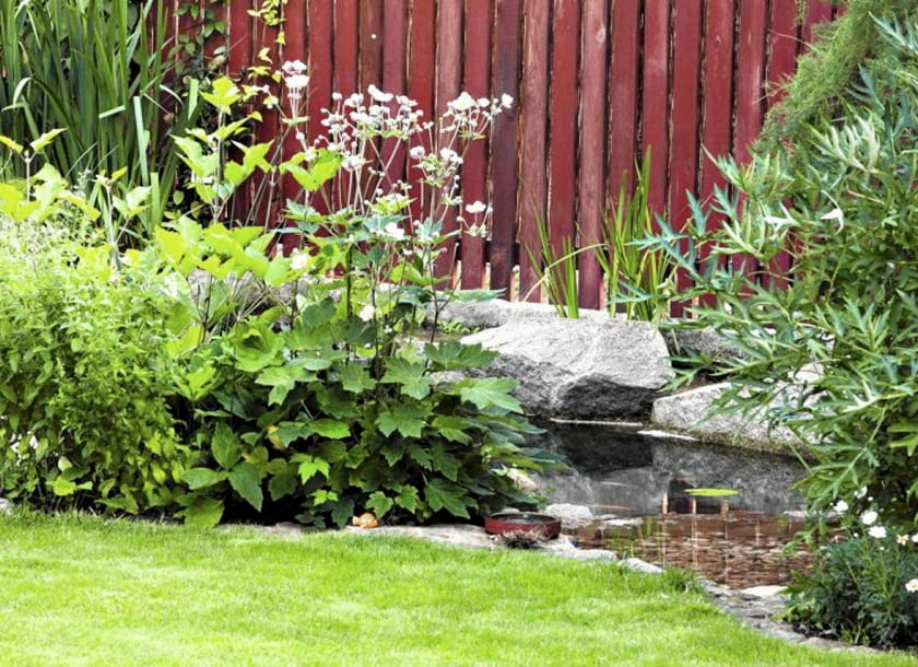 SLOWA KLUCZOWE: beata tokarz