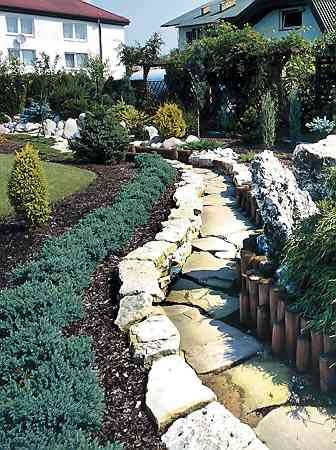 JALOWIEC LUSKOWATY JUNIPERUS SQUAMATA BLUE STAR CYPRYSIK GROSZKOWY CHAMAECYPARIS PISIFERA FILIFERA NANA JALOWIEC POSPOLITY JUNIPERUS COMMUNIS GOLD CONE NIEBIESKIE IGLY STRUMIEN STRUMYK KAMIEN WAPIEN PIASKOWIEC IGLAKI OBRZEZE RABATY OGROD PRYWATNY PANA PUZONIA USTRON KOLO WISLY POLSKI POLSKA FOT PAWEL SLOMCZYNSKI PUBLIKACJA OGRODY NR 2 (46) - 2.2003