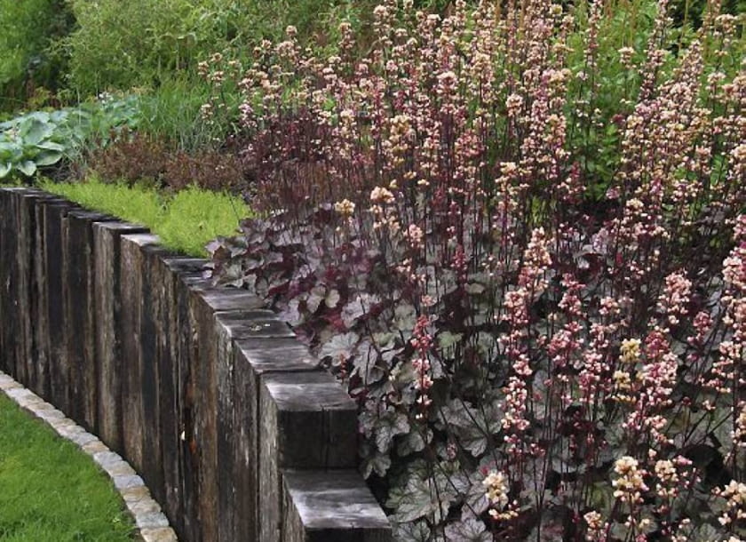 Oprócz kwiatów koloru rabatom dodają gatunki o kolorowych liściach, np. żurawka 'Palace Purple'