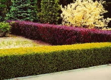 ONE TIME USE ONLY DO JEDNORAZOWEGO UZYCIA