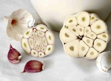 Po lewej typ niekwitnący, po prawej - kwitnący, z łodygą kwiatową w centrum główki