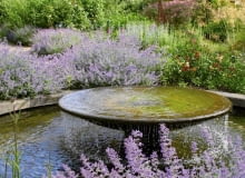 OGROD OCZKO WODNE FONTANNA ROSLINY KWIATY KOCIMIETKA FOT. KATARZYNA DYRSKA PUBLIKACJA OGRODY NUMER SPECJALNY 1/2008 - OGROD DLA CIEBIE - 5 2008 SLOWA KLUCZOWE: OGRODY FONTANNY KWIATY ROSLINY WODA ZDJĘCIE DO WKŁADKI: PUBLIKACJA OGRODY NUMER SPECJALNY 1/2008 - OGROD DLA CIEBIE - CZASOPISMA